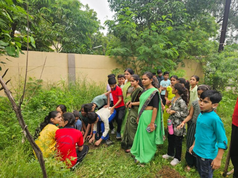 "One tree at a time - Green future"